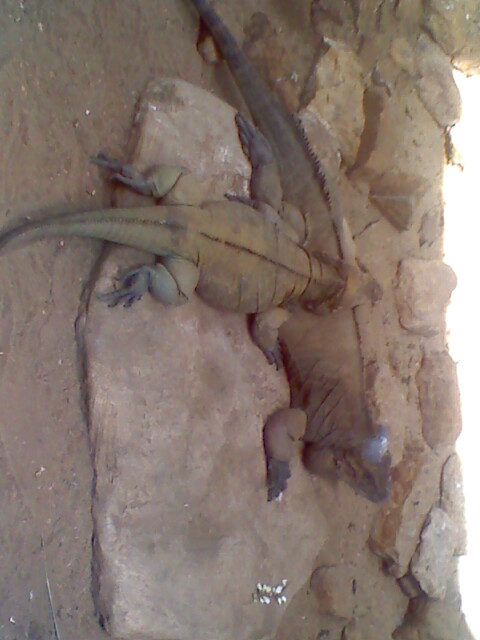moto_0050.jpg