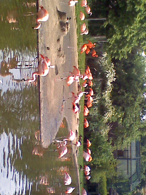 moto_0074.jpg