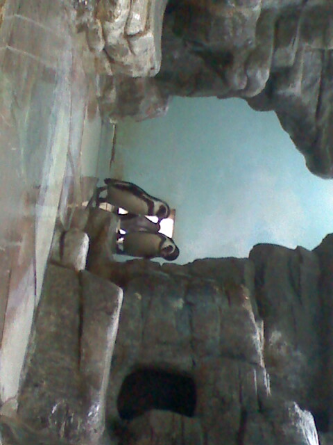 moto_0075.jpg